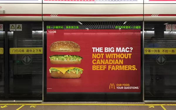 Subway Multimedia Screen Door System