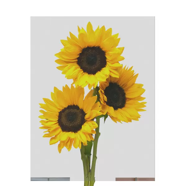 Laminated Smart Film