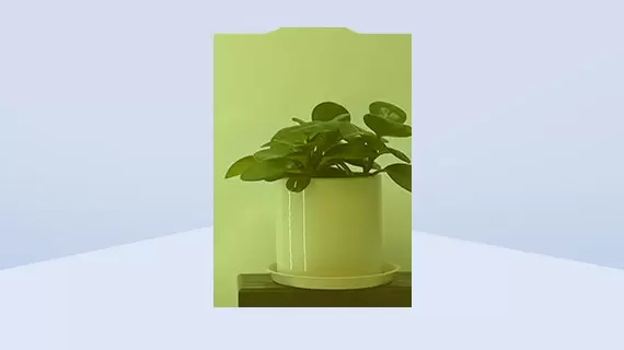How Long Can Hot Sale Color Smart Film Maintain Its Performance and Privacy
